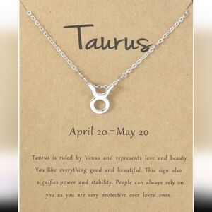 Silver Zodiac Necklace